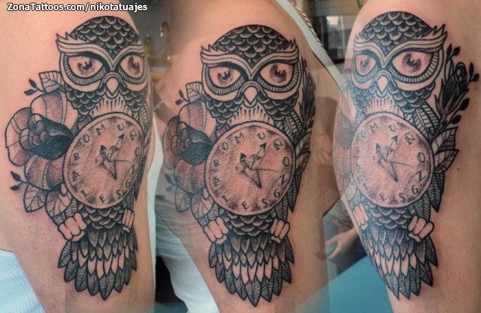 Tattoo photo Owls, Birds, Animals