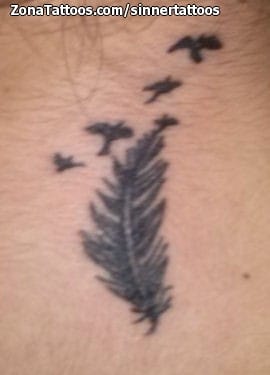 Foto de tatuaje Plumas, Aves, Animales