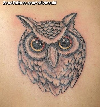 Tattoo photo Owls, Birds, Animals