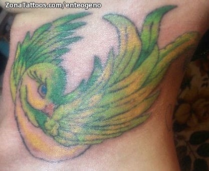 Foto de tatuaje Golondrinas, Aves, Animales