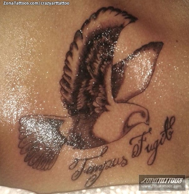 Foto de tatuaje Palomas, Aves, Letras