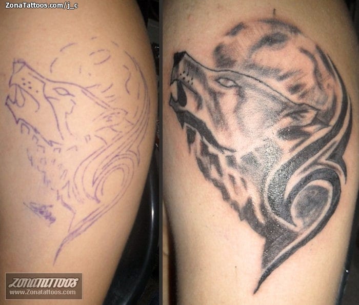 Tattoo photo Wolfs, Tribal, Animals