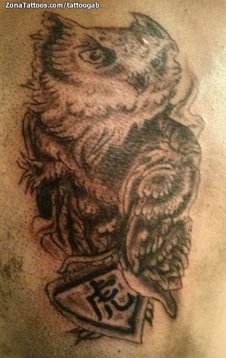 Tattoo photo Owls, Birds, Animals