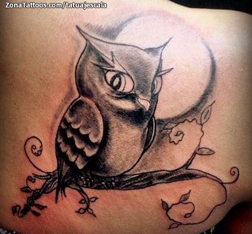 Tattoo photo Owls, Moons, Birds