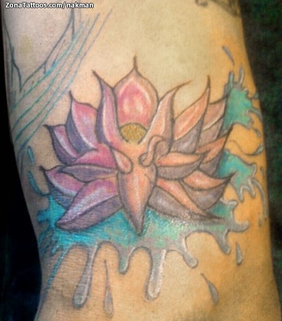 Tattoo photo Lotus, Flowers, Water