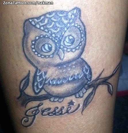 Tattoo photo Owls, Birds, Letters