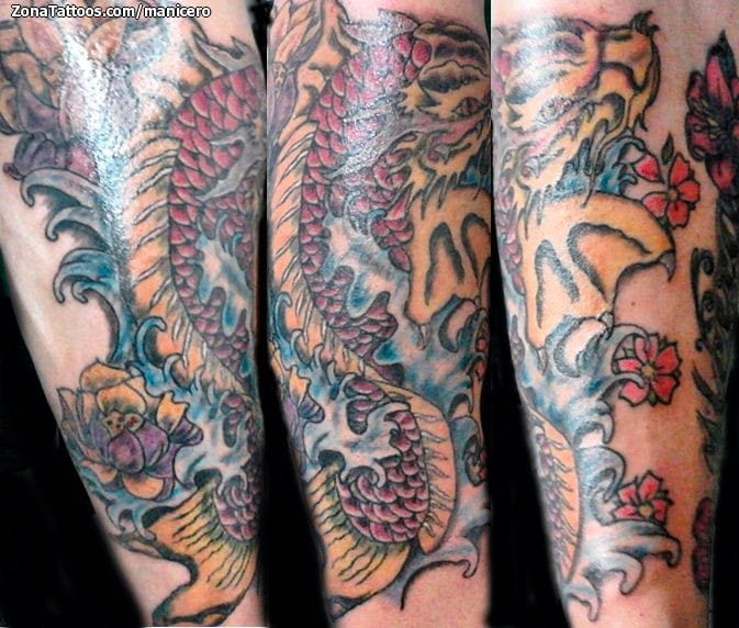 Tattoo photo Koi, Fish, Asian