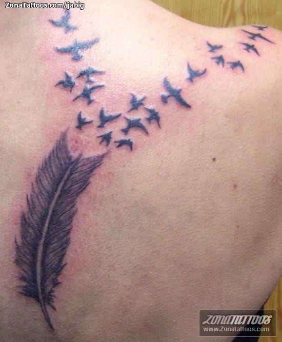 Foto de tatuaje Plumas, Aves, Siluetas