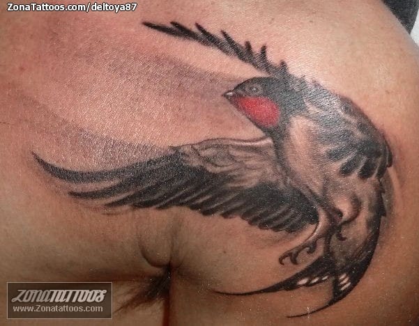 Tattoo photo Swallows, Birds, Animals