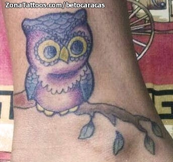 Tattoo photo Owls, Birds, Old School