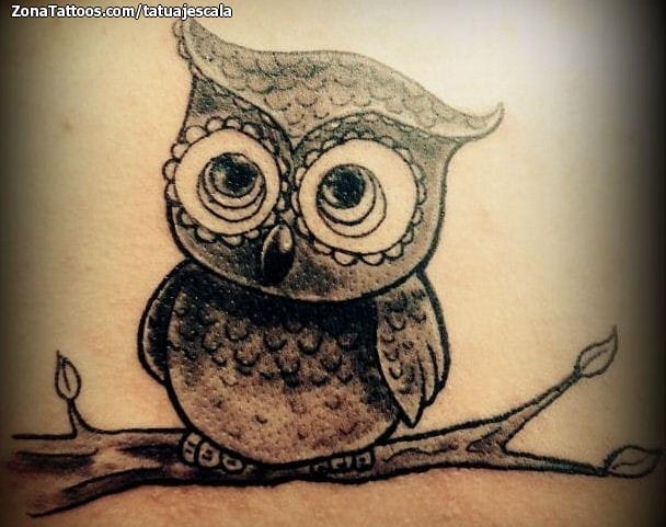 Foto de tatuaje Búhos, Aves, Animales