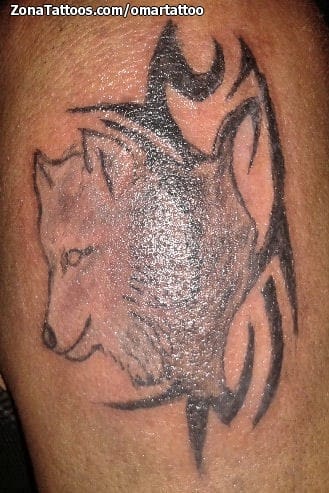 Tattoo photo Wolfs, Tribal, Animals