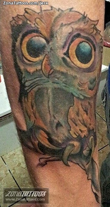 Foto de tatuaje Lechuzas, Aves, Animales