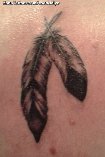 Tattoo photo Feathers