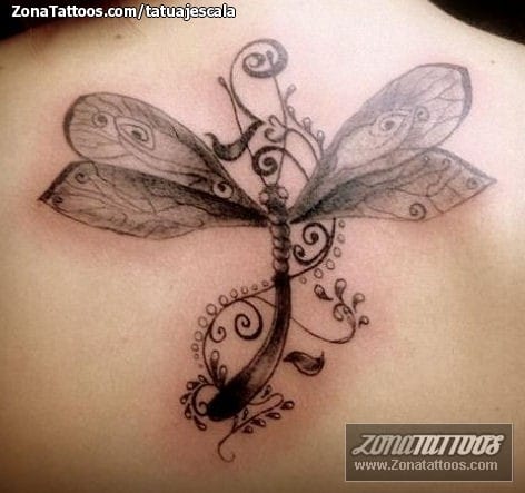 Tattoo photo Dragonflies, Insects, Back