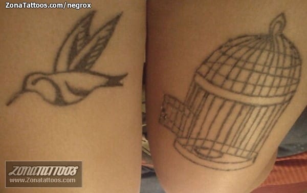 Foto de tatuaje Aves, Jaulas, Animales