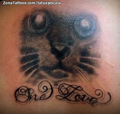 Foto de tatuaje Gatos, Frases, Letras