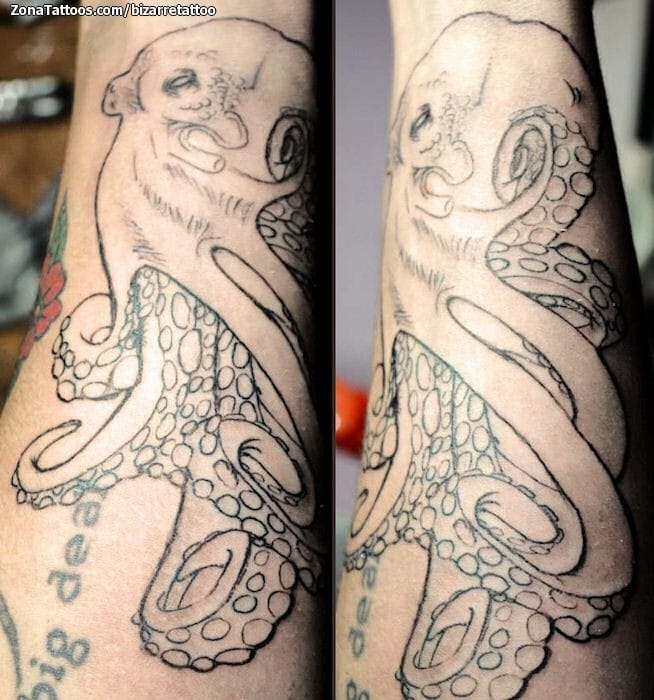 Tattoo photo Octopuses, Animals