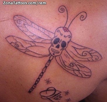 Tattoo photo Dragonflies, Skulls, Insects