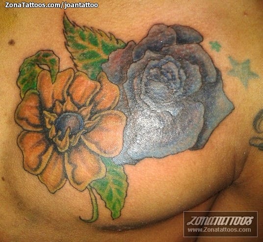 Tattoo photo Roses, Flowers, Chest