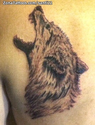 Tattoo photo Wolfs, Animals