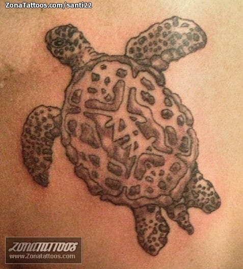 Foto de tatuaje Tortugas, Animales