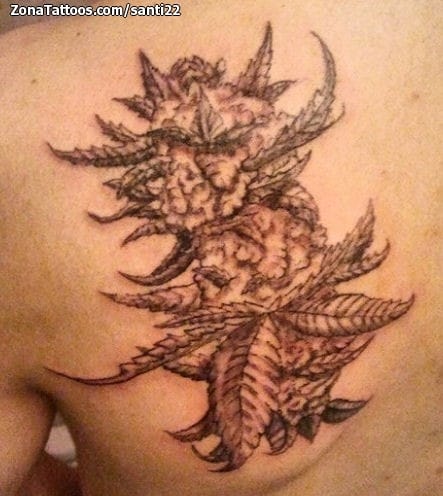 Foto de tatuaje Marihuana, Plantas