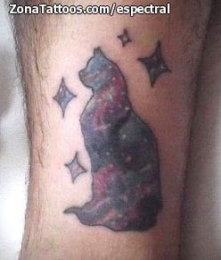 Foto de tatuaje Gatos, Animales, Estrellas