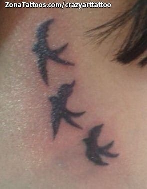 Tattoo photo Swallows, Birds, Silhouettes