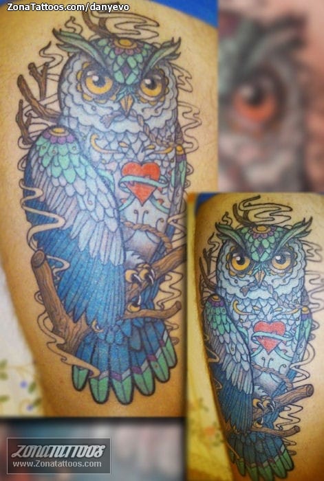 Foto de tatuaje Búhos, Aves, Animales