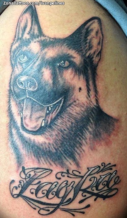 Foto de tatuaje Perros, Letras, Animales