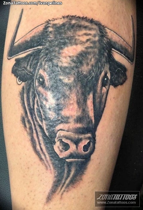 Tattoo photo Bulls, Animals