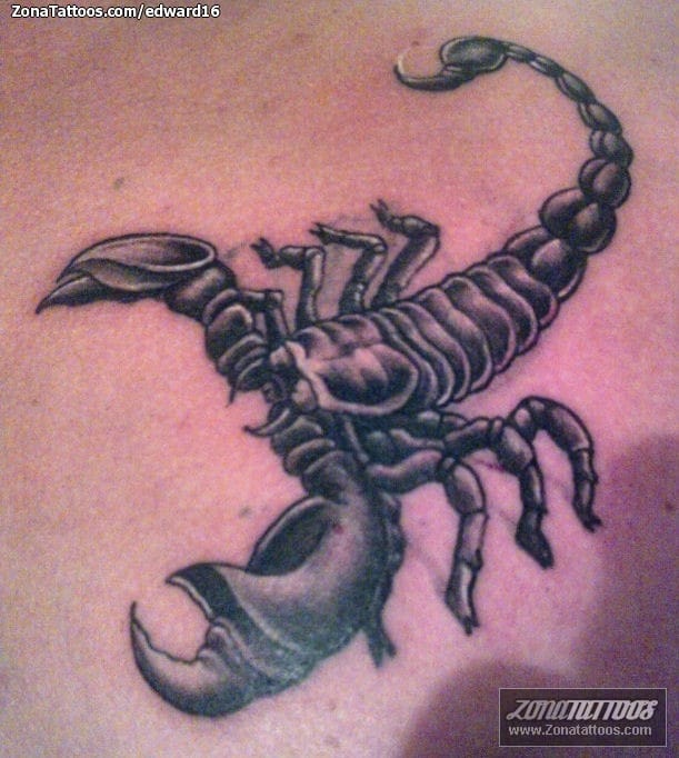 Tattoo of Scorpions, Animals