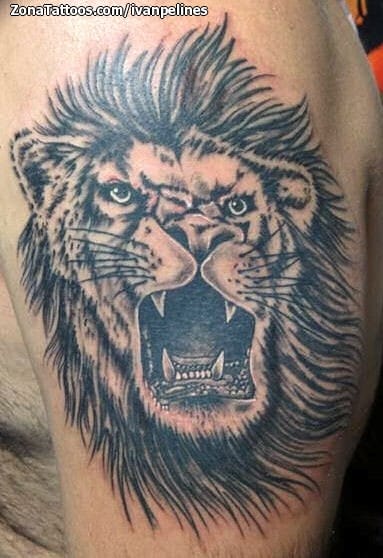 Tattoo photo Lions, Animals