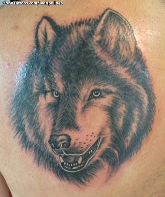 Tattoo photo Wolfs, Animals