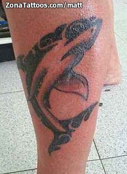 Tattoo photo Sharks, Animals