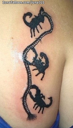 Foto de tatuaje Escorpiones, Cuerdas, Animales