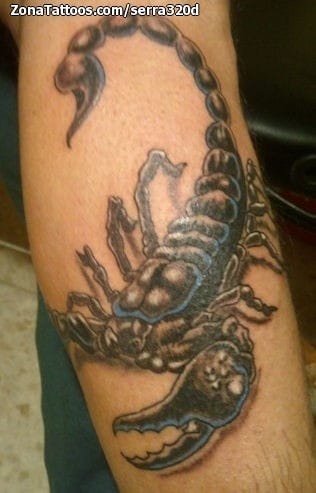 Tattoo photo Scorpions, Animals