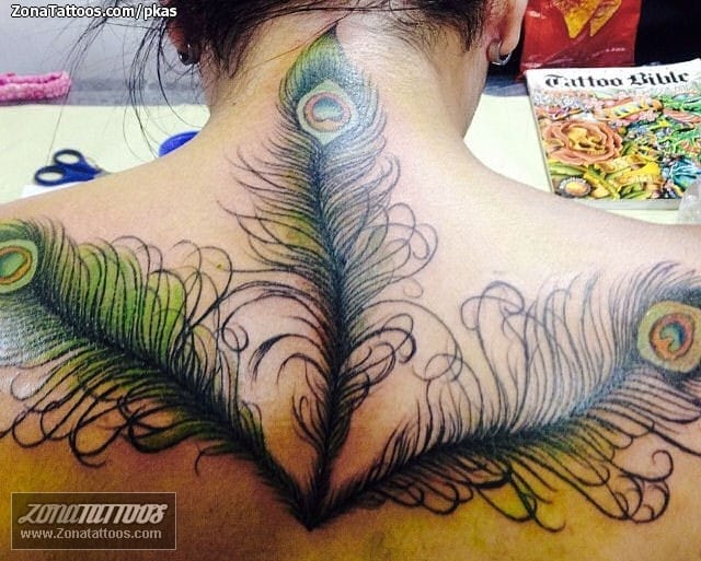 Foto de tatuaje Plumas, Espalda