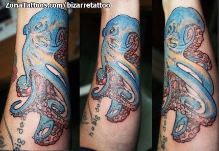 Tattoo photo Octopuses, Animals