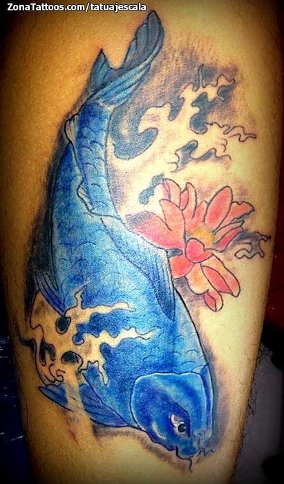 Tattoo photo Koi, Fish, Lotus