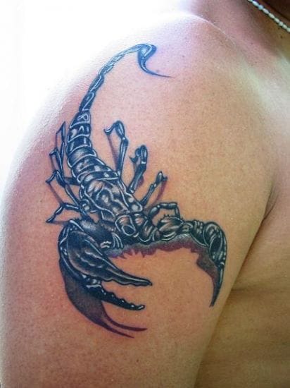 Tattoo photo Scorpions, Insects