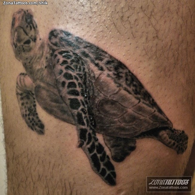 Foto de tatuaje Tortugas, Animales