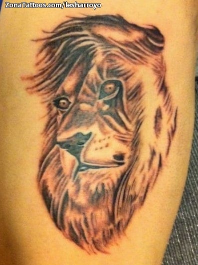 Tattoo photo Lions, Animals