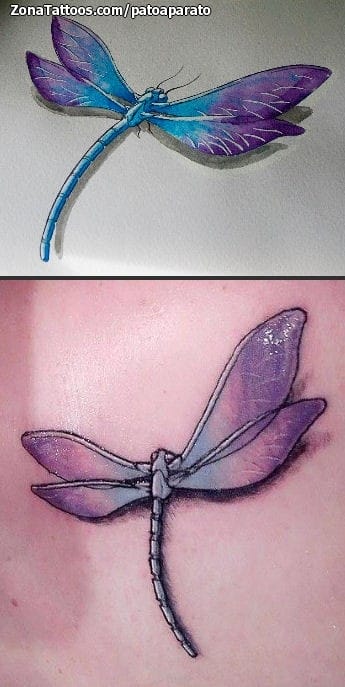 Tattoo photo Dragonflies, Insects