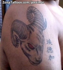 Tattoo photo Rams, Zodiac, Arm