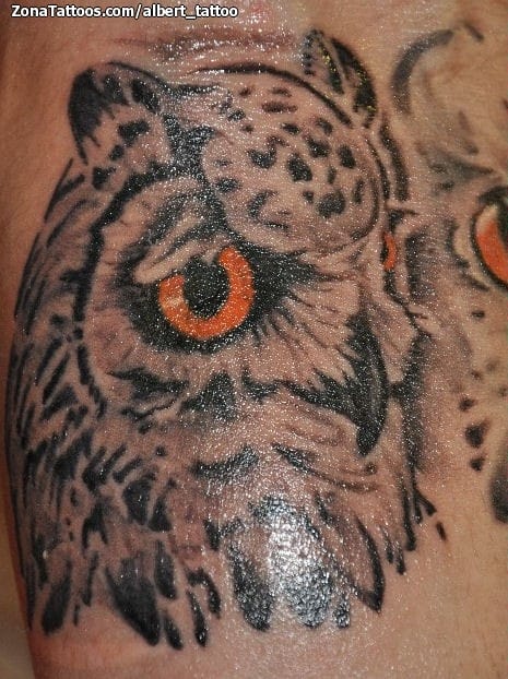 Tattoo photo Owls, Birds, Animals