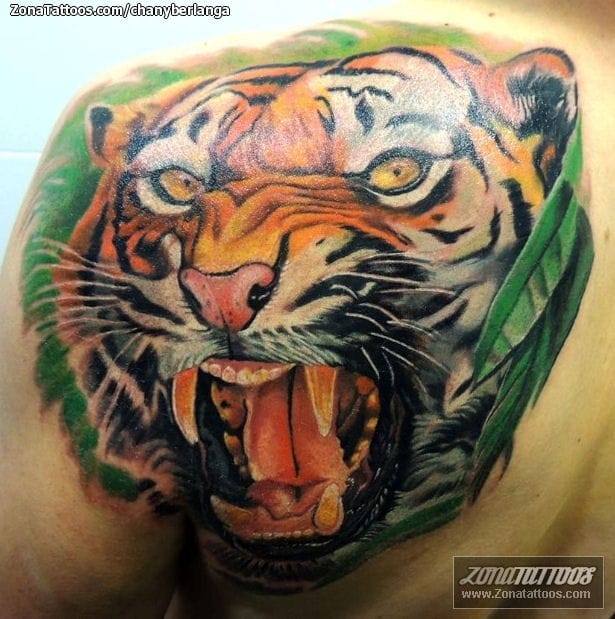 Foto de tatuaje Tigres, Animales, Cover Up