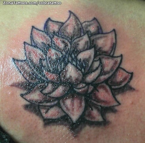 Foto de tatuaje Lotos, Flores