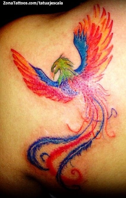 Tattoo photo Phoenix, Fantasy